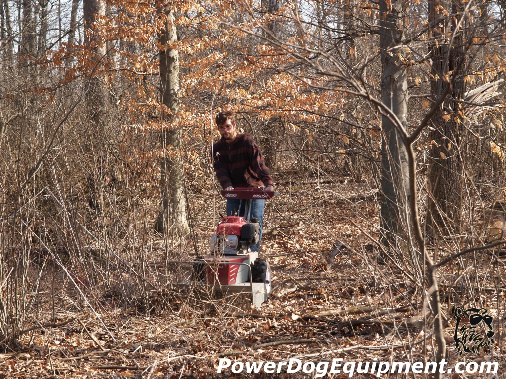 Ambush Clearing Spring Dead Grass & Brush