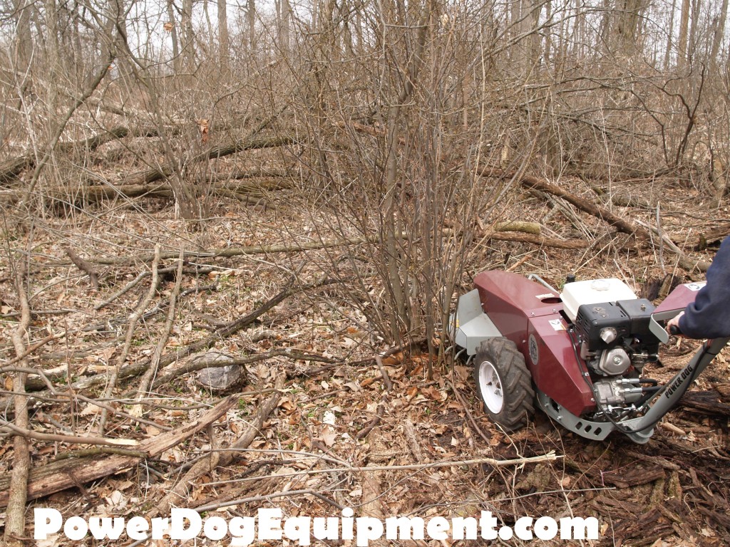 Early Spring Brush Mowing